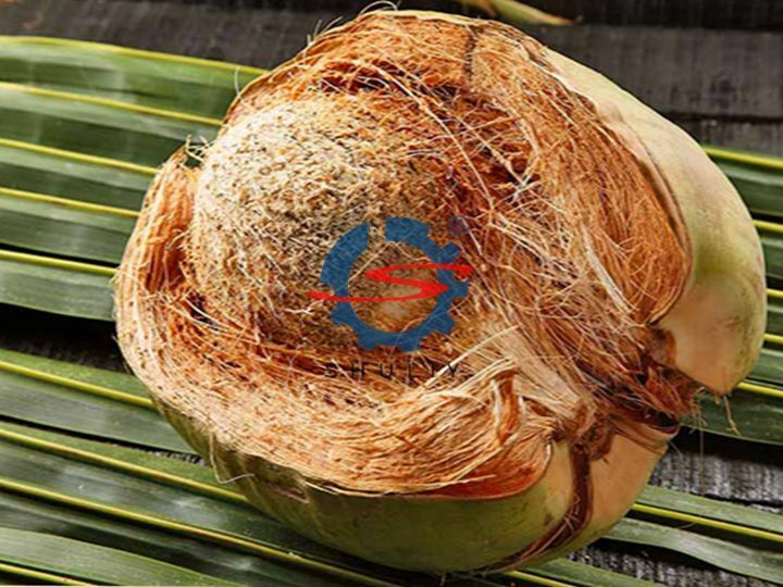 fibra de coco