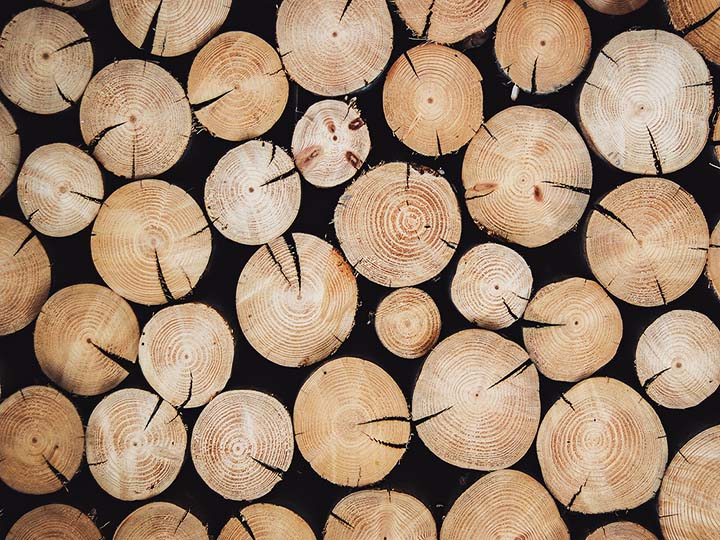 5 Möglichkeiten, Holzsägemehl und -späne zu recyceln