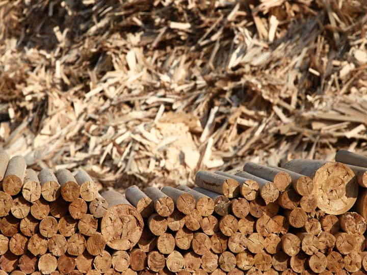 Things You Need to Know about Wood Recycling