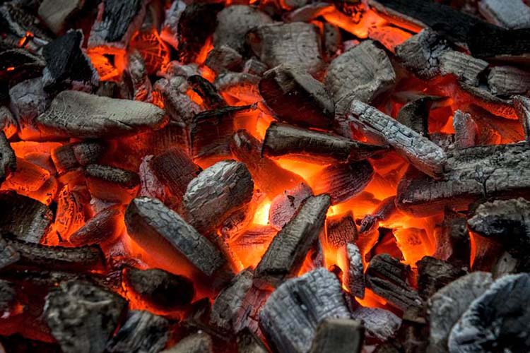 biomass charcoal
